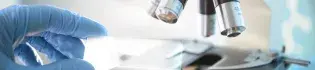 Site Banner